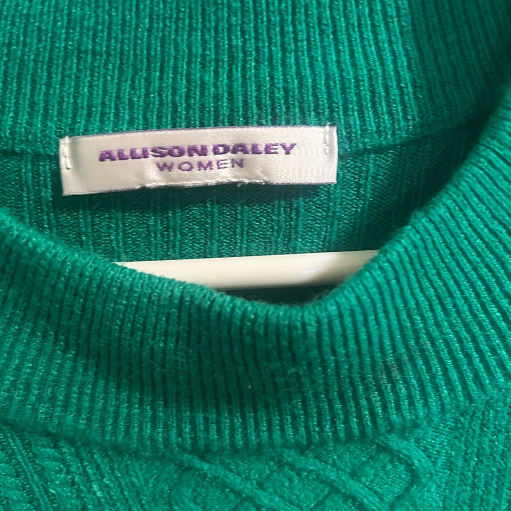 Allison Daley Women's Vibrant Green Crew Neck Sweater